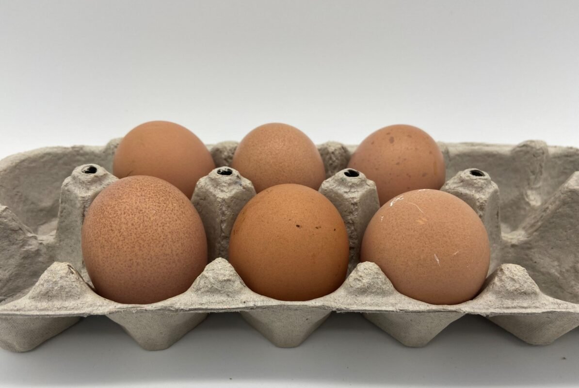 Brown Egger™ 1 scaled 1 1