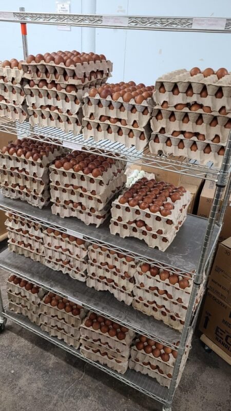 Chocolate egger egg 576x1024 1 1