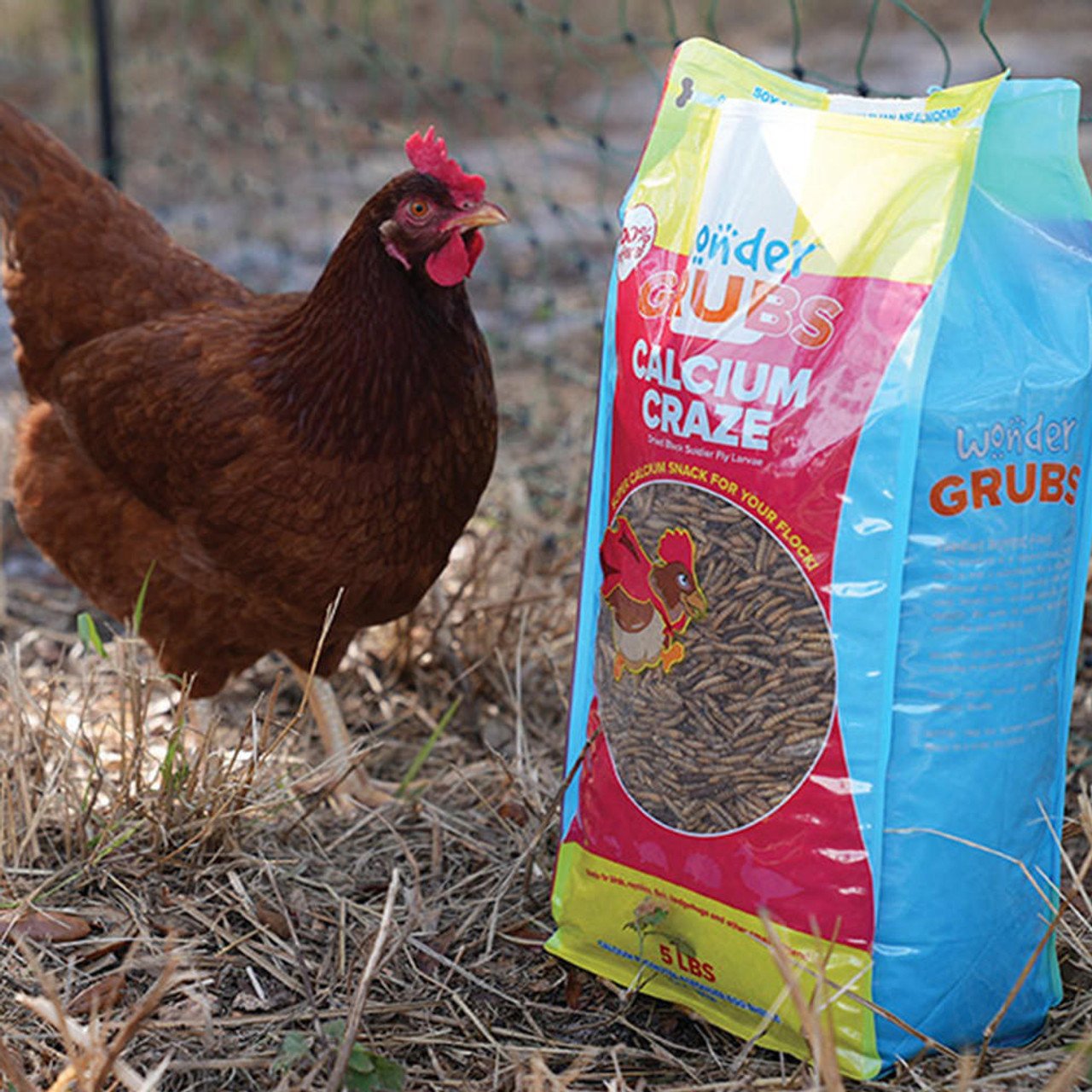 PH560 Wonder Grubs Black Soldier Fly Larvae Calcium Craze with Hen 1000 x 1000 Web 58601 1