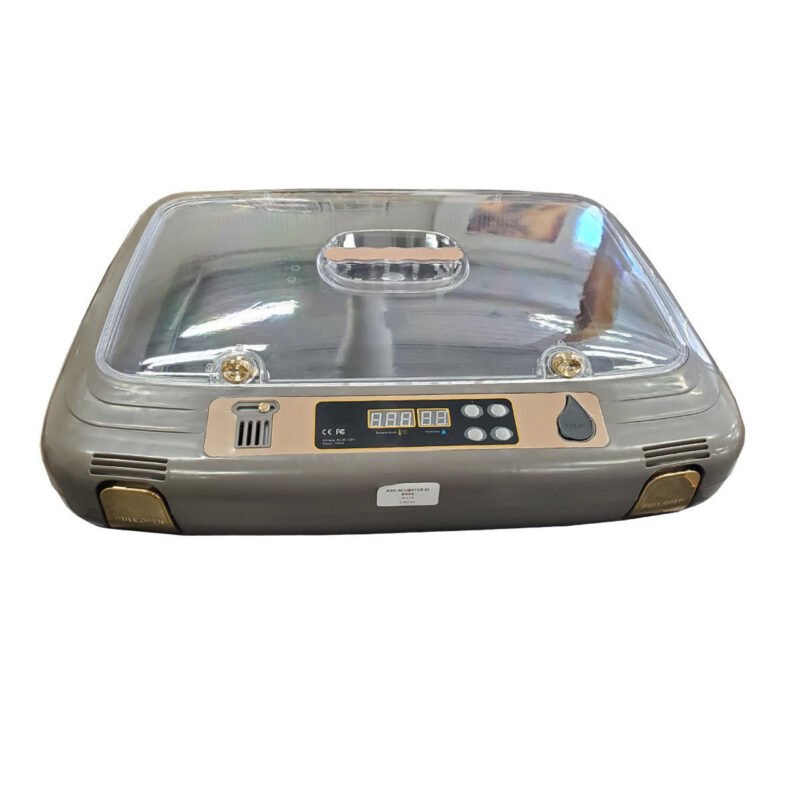 PP374 65816 1