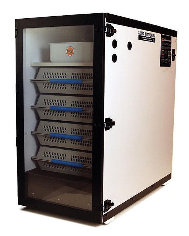 PP392 1550 DIgital Hatcher 2022 70447 1