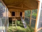 Homestead Cat Enclosure - Image 4