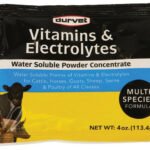 DURVET VITAMINS & ELECTROLYTES CONCENTRATE