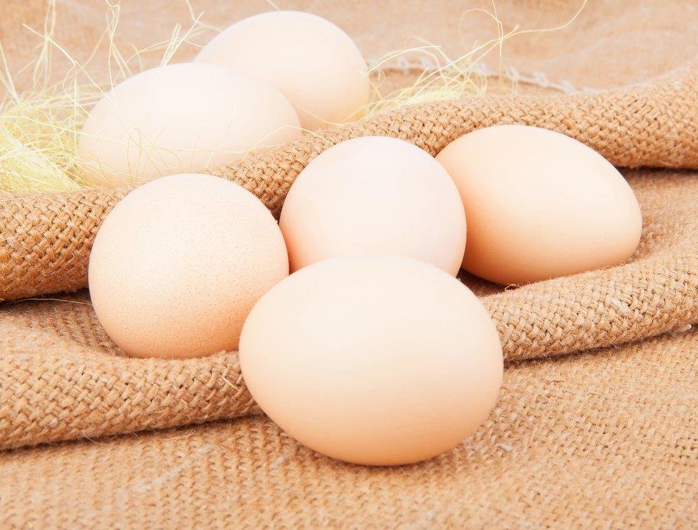 shutterstock 145071793 1 1